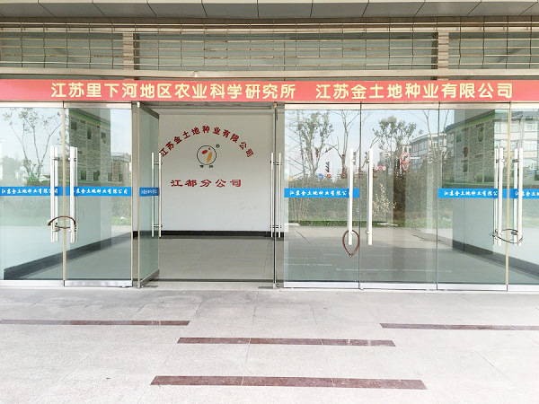 江都分公司