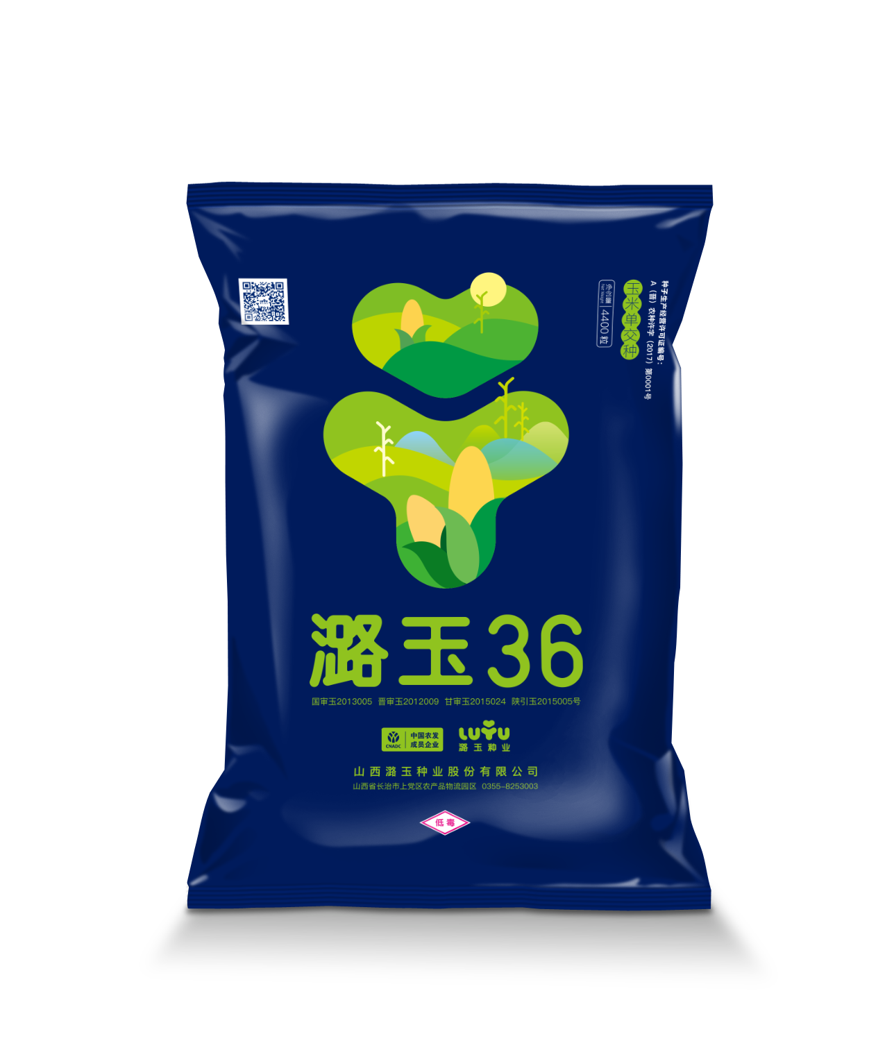 中晚熟密植型:潞玉36