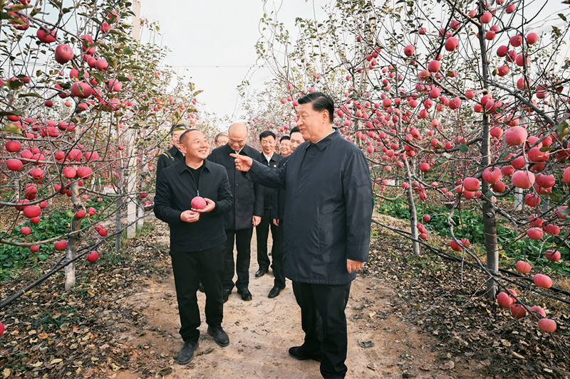 塞班岛线路检测中心(中国区)官方网站