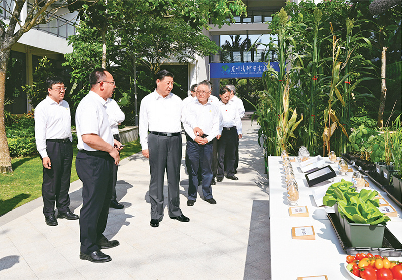 塞班岛线路检测中心(中国区)官方网站