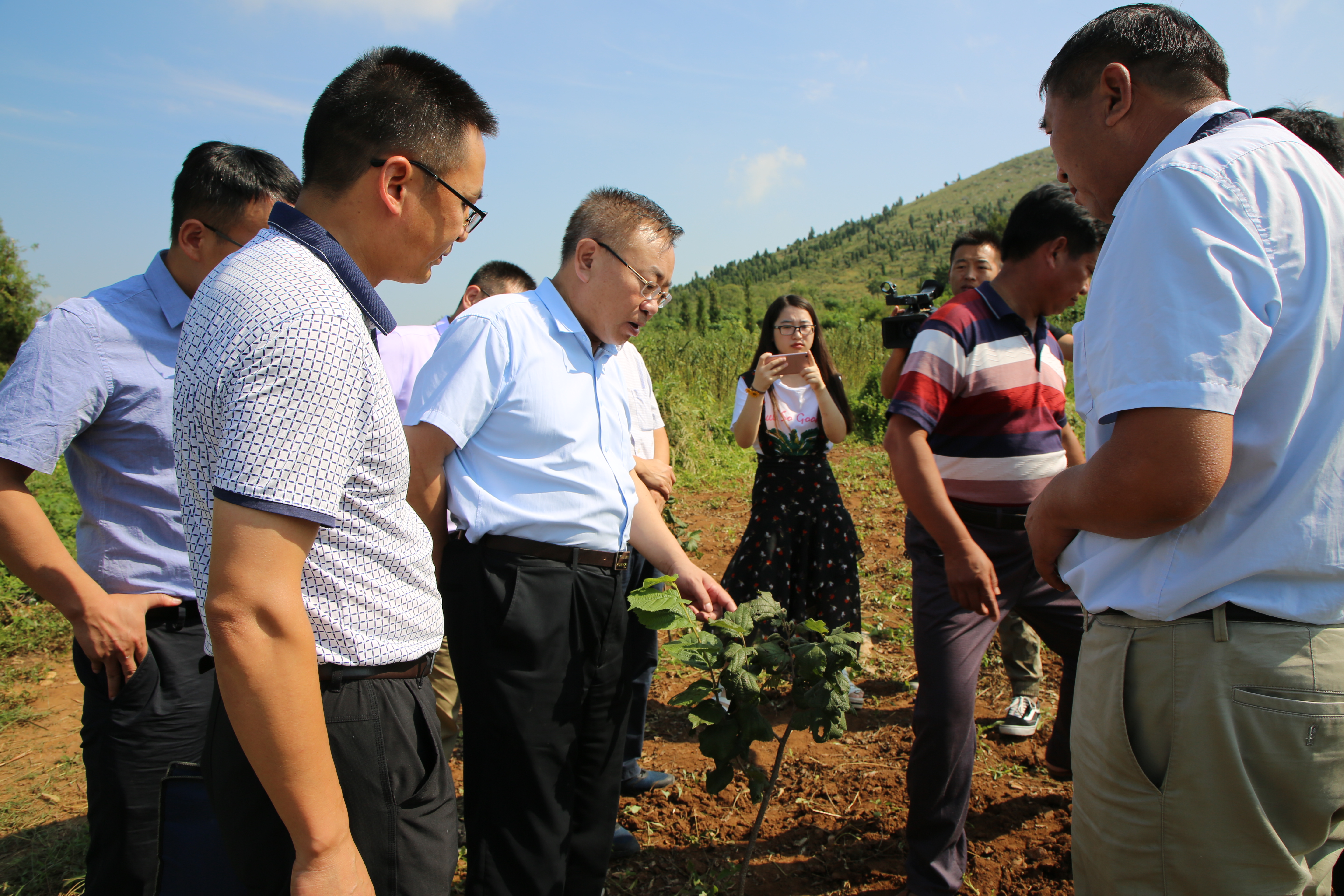 附件1 万军（左三）到集团帮助建成的榛子林种植基地查看榛子苗生长情况_wps图片.jpg