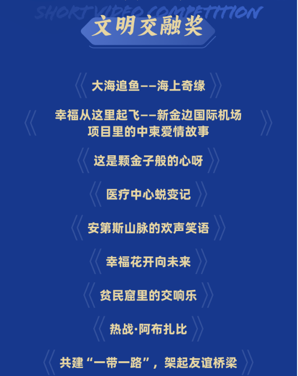 大海追鱼获奖截图.png