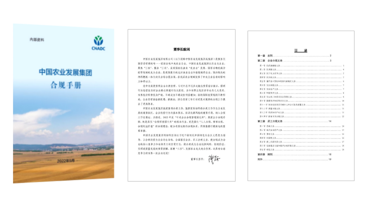 集团合规手册