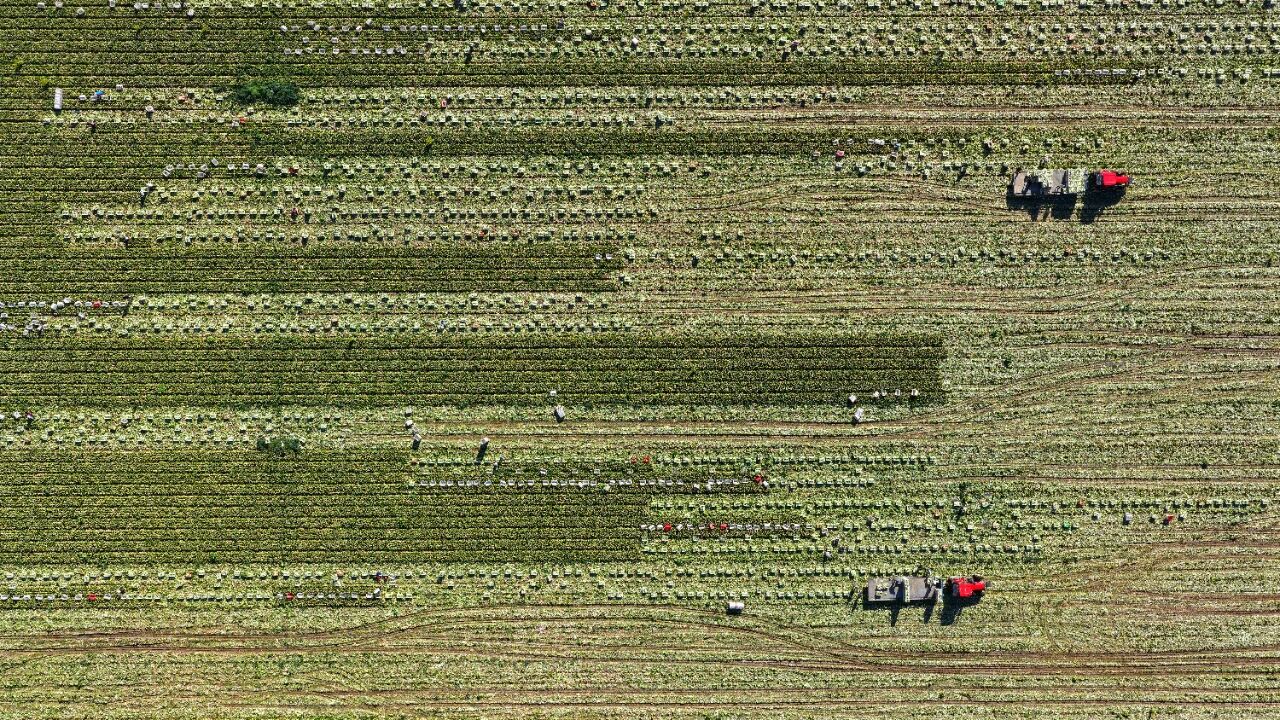 微信图片_2025-09-28_101225_949.jpg 微信图片_2025-09-28_101225_949.jpg