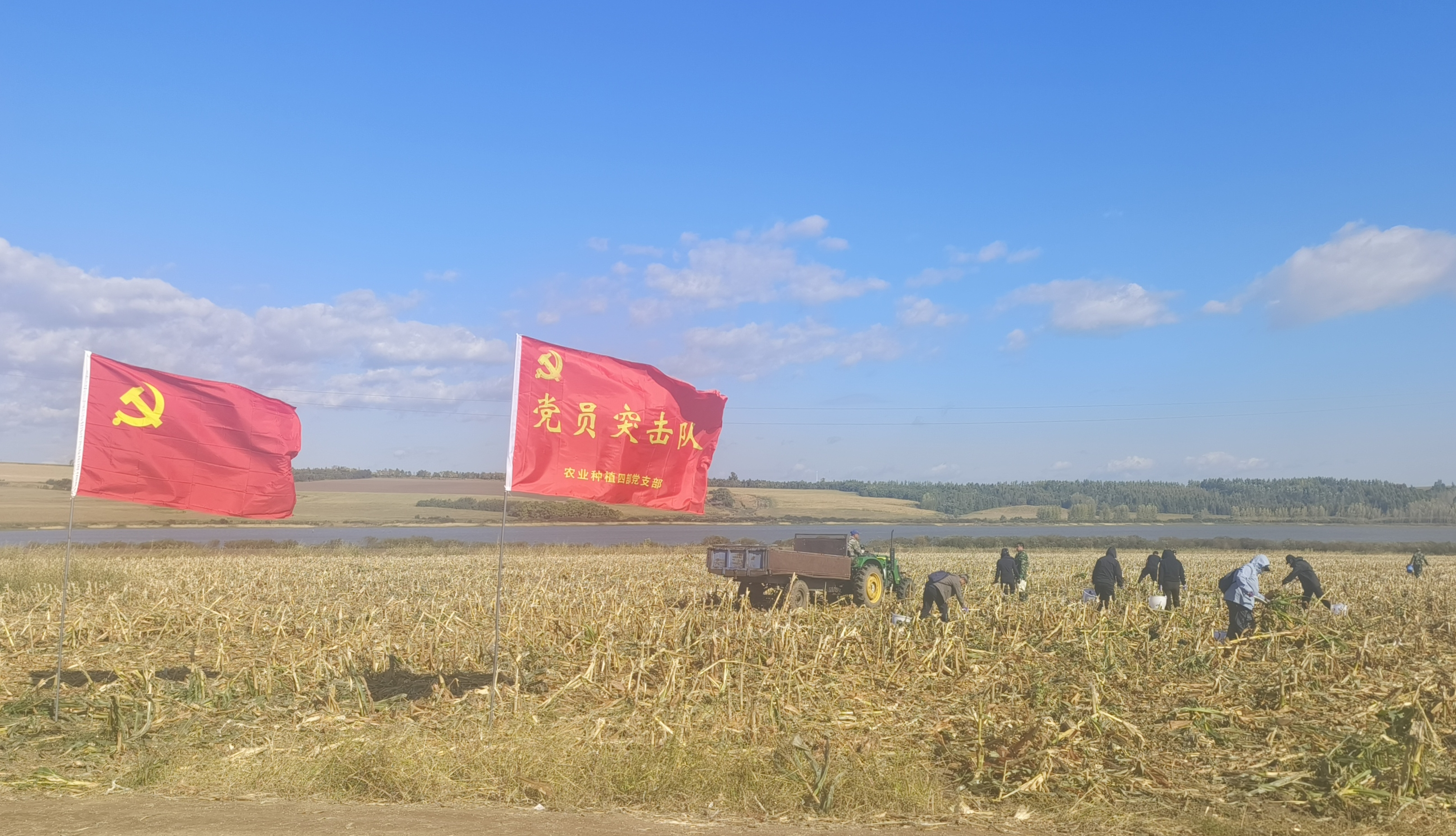 图片8.png