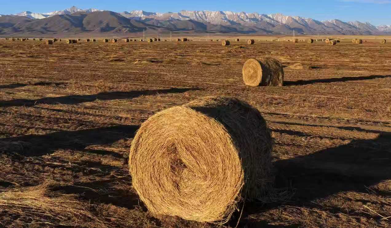 0cdfbe903458a079fae4615afe03a92e.jpg 0cdfbe903458a079fae4615afe03a92e.jpg