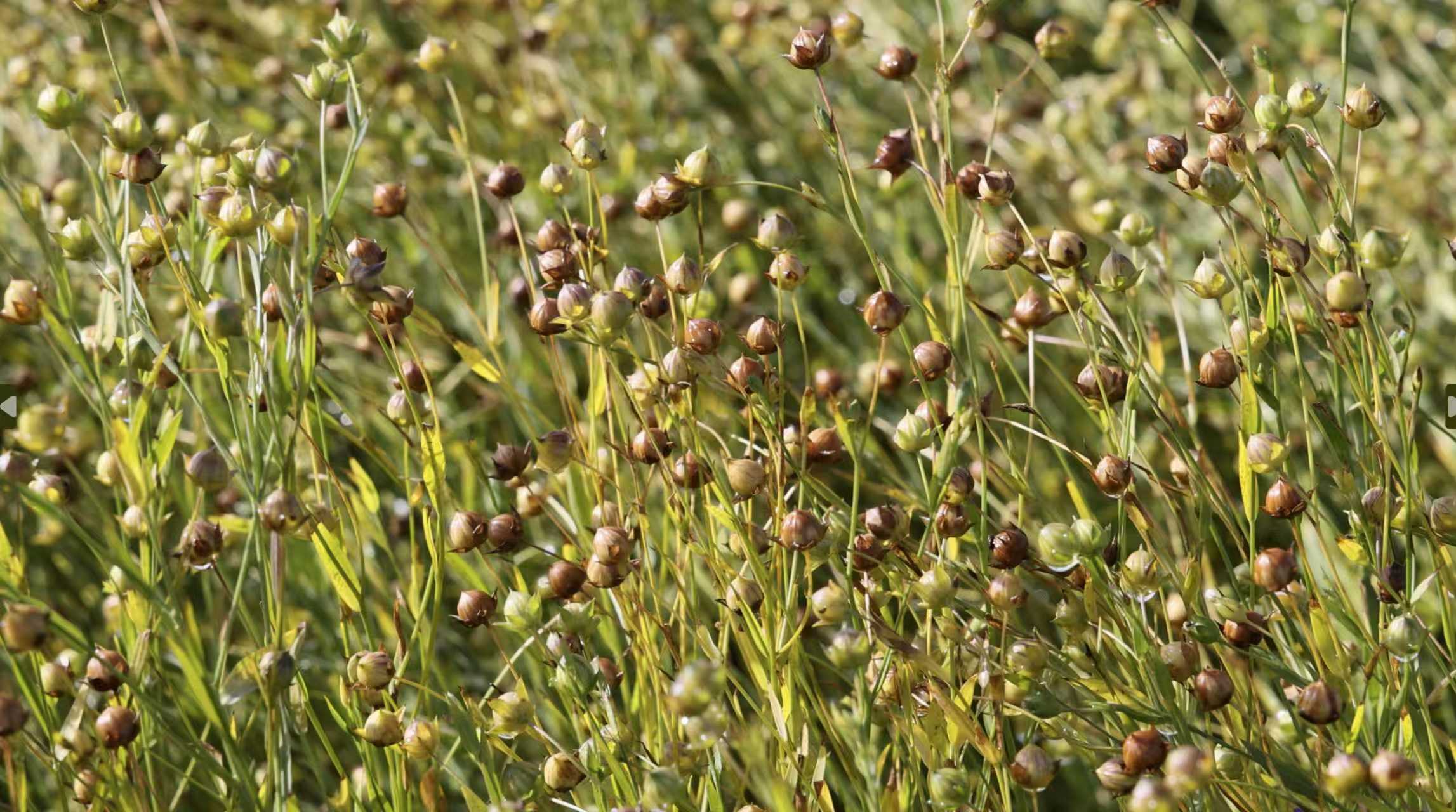 939b4ad1c6ecf16b81db3fb2c083ec1a.jpg 939b4ad1c6ecf16b81db3fb2c083ec1a.jpg