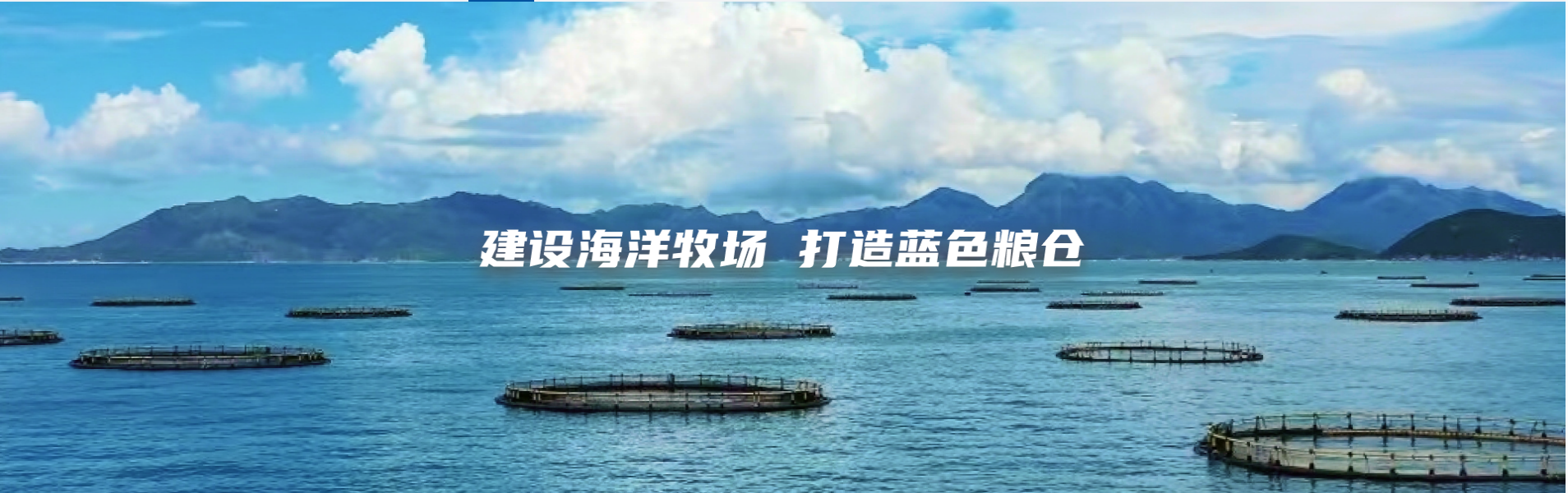 建设海洋收场 打造蓝色粮仓